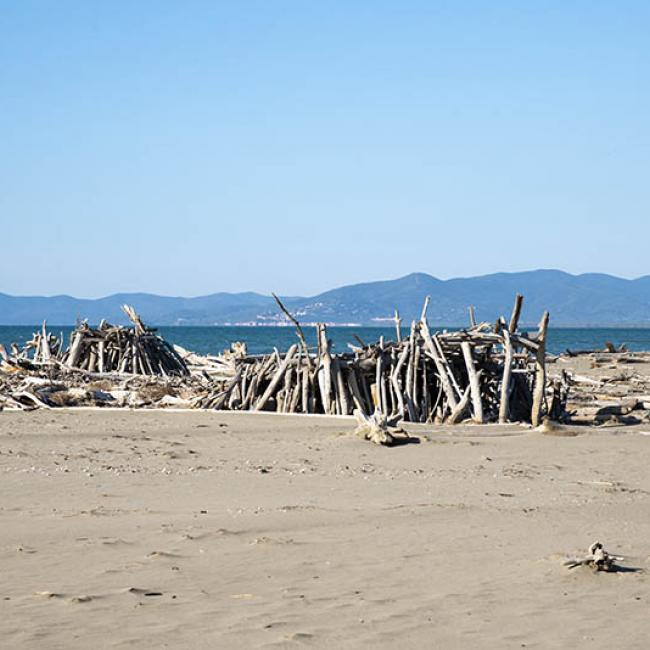 Marina di Alberese Parco Uccellina